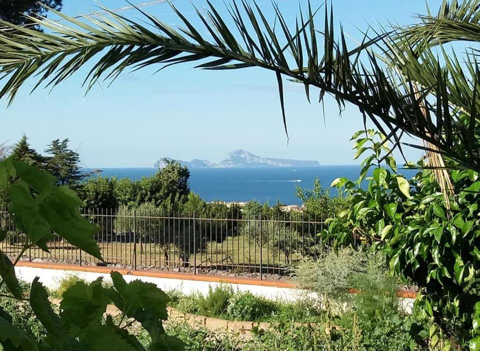 Villa Mazza Al Vesuvio Torre del Greco Bagian luar foto